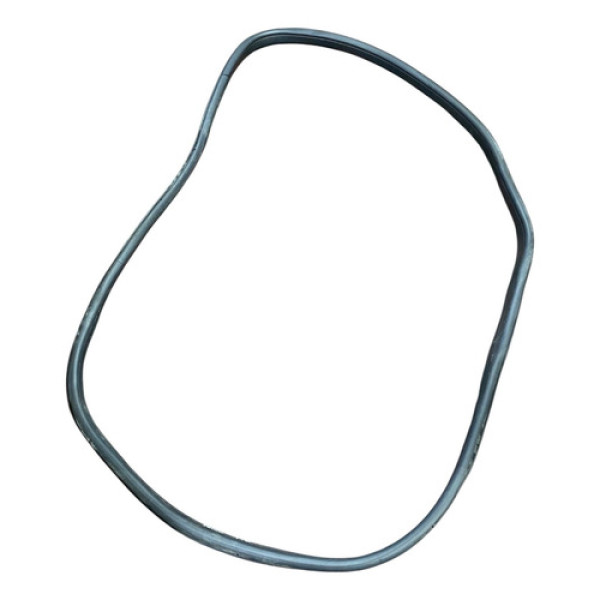 Borracha Porta Traseira Esquerda Fiat Argo 2018/24