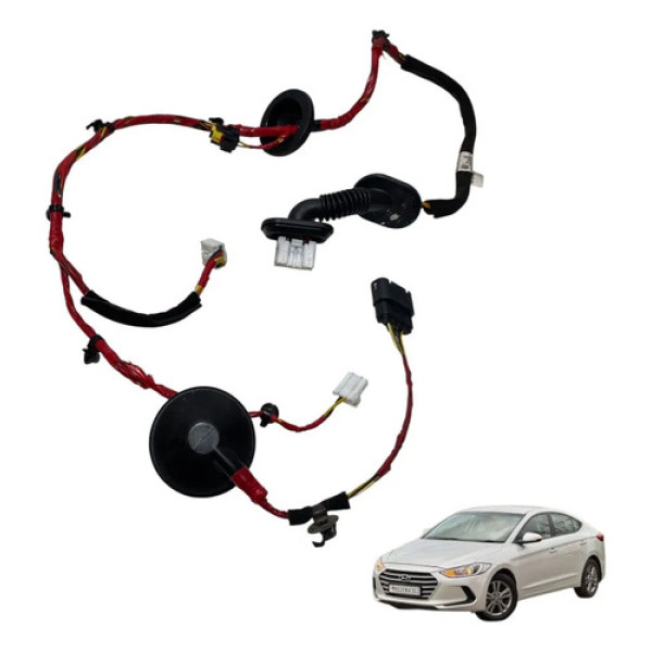 Chicote Porta Tras Esquerda Hyundai Elantra 2017 91650f2010