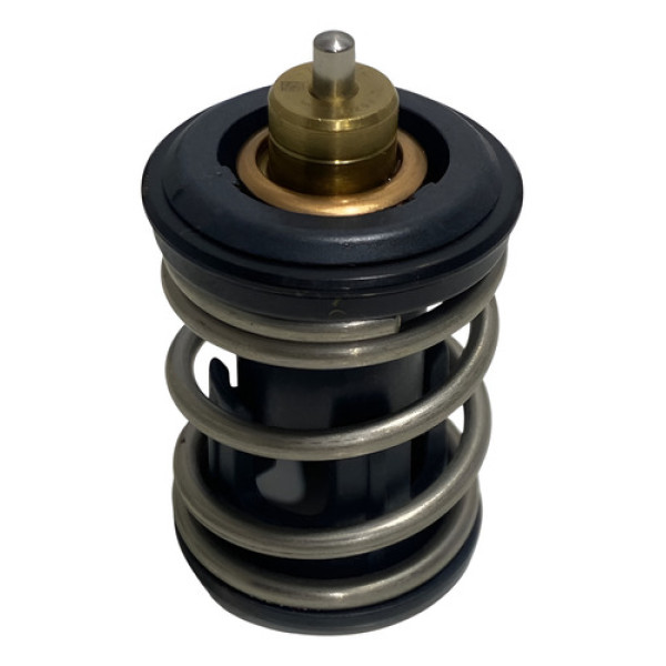 Valvula Termostatica Vw Polo Track 2024 04e121113m