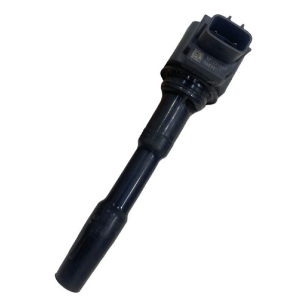 Bobina Ignição Renault Sandero Captur Duster 1.6 224336695r